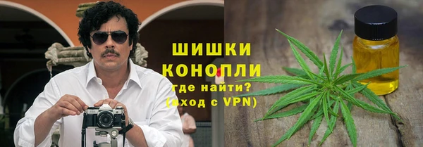 apvp Инсар