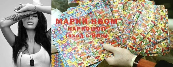 apvp Инсар