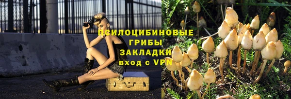 apvp Инсар